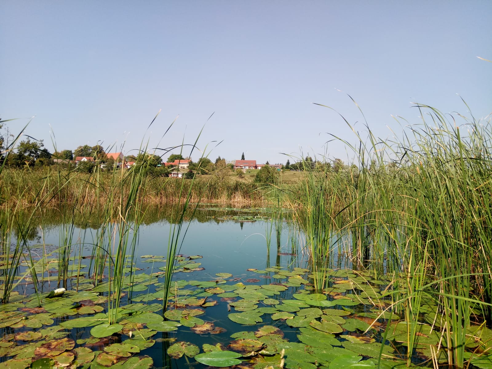 Blick vom Wasser aus auf die Silhouette vom Slawendorf Groß Raden.
